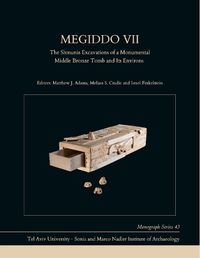 Cover image for Megiddo VII