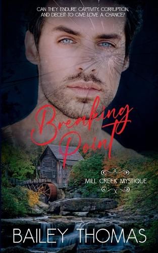 Cover image for Breaking Point