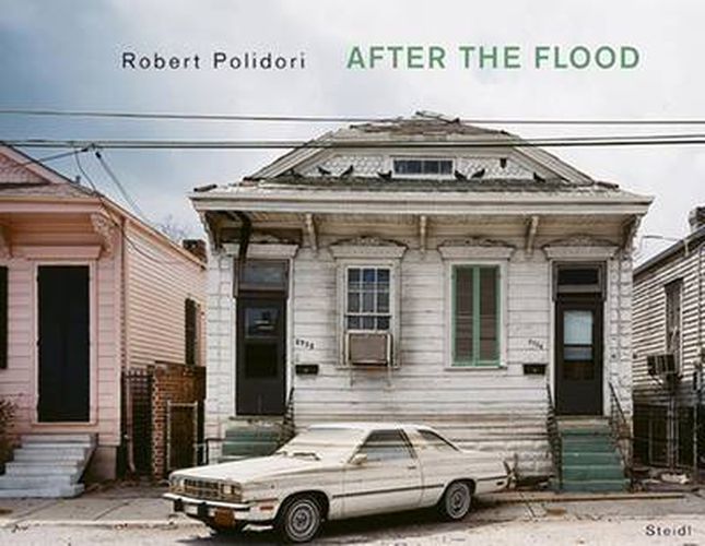 Cover image for Robert Polidori: After the Flood