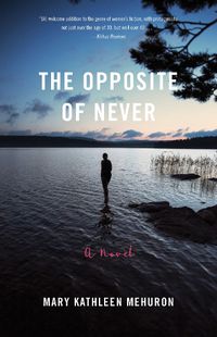 Cover image for The Opposite of Never: A Novel