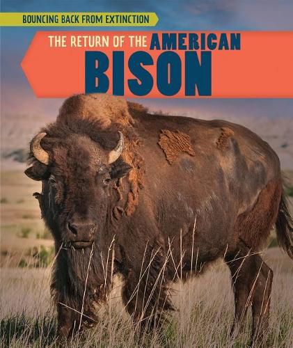 Cover image for The Return of the American Bison