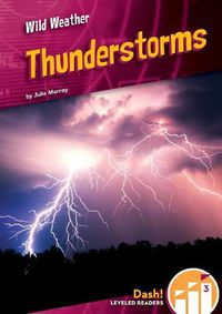 Cover image for Thunderstorms