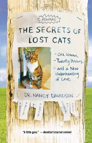 Cover image for Secrets of Lost Cats