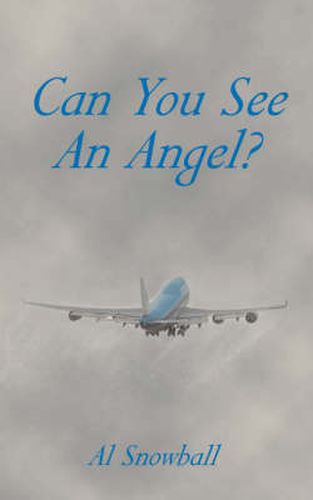 Cover image for Can You See an Angel?