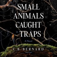 Cover image for Small Animals Caught in Traps