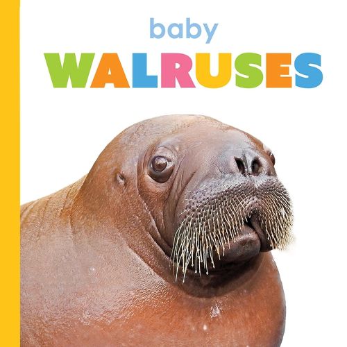 Cover image for Baby Walruses