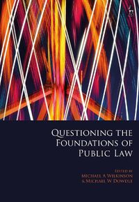 Cover image for Questioning the Foundations of Public Law