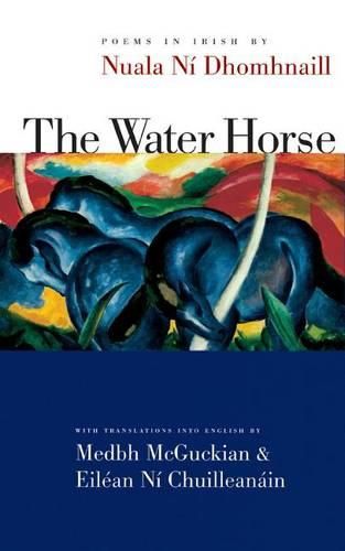 Cover image for The Water Horse