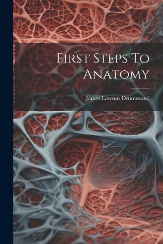 First Steps To Anatomy