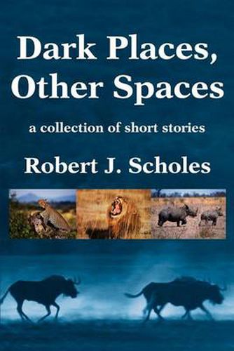 Cover image for Dark Places, Other Spaces: A Collection of Short Stories