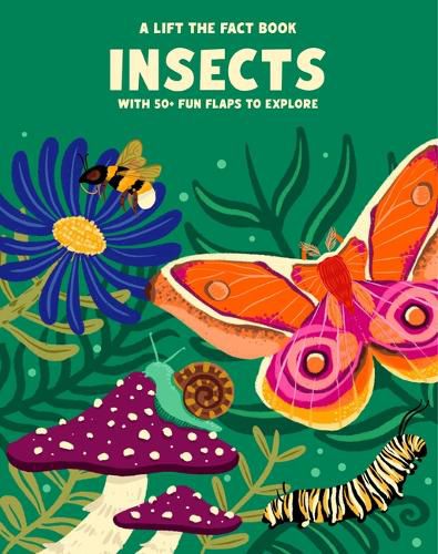 Cover image for Lift the Fact: Insects