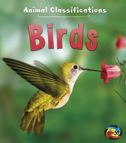 Cover image for Birds (Animal Classifications)