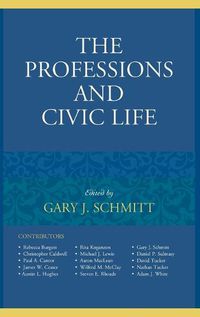 Cover image for The Professions and Civic Life