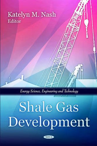 Cover image for Shale Gas Development