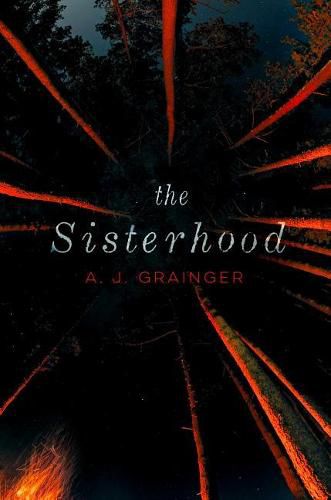 Cover image for The Sisterhood