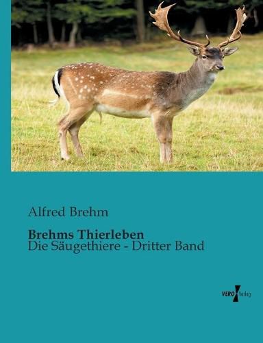 Cover image for Brehms Thierleben: Die Saugethiere - Dritter Band