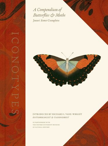 Cover image for Iconotypes: A Compendium of Butterflies and Moths, Jones' Icones Complete