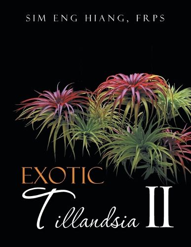 Cover image for Exotic Tillandsia II