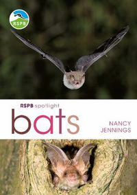 Cover image for RSPB Spotlight Bats