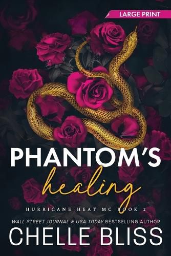 Cover image for Phantom's Healing