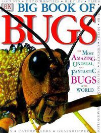 Cover image for Big Book of Bugs
