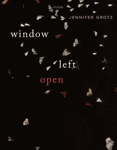 Cover image for Window Left Open: Poems