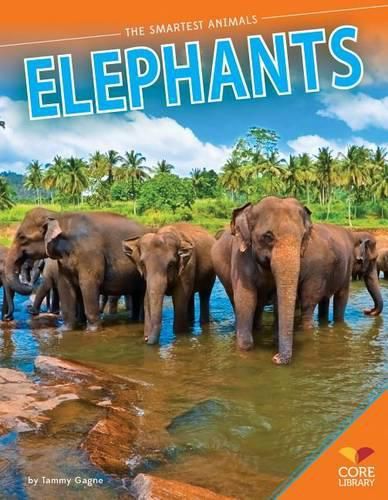 Cover image for Elephants