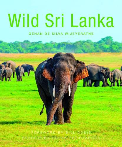 Cover image for Wild Sri Lanka (2nd edition)