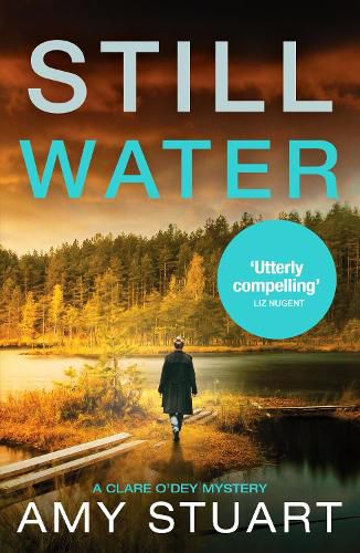 Still Water: An absolutely gripping private investigator crime novel