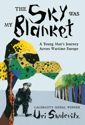 Cover image for The Sky Was My Blanket