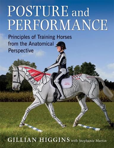 Posture and Performance: Principles of Training Horses from the Anatomical Perspective