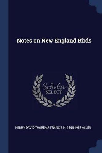 Notes on New England Birds