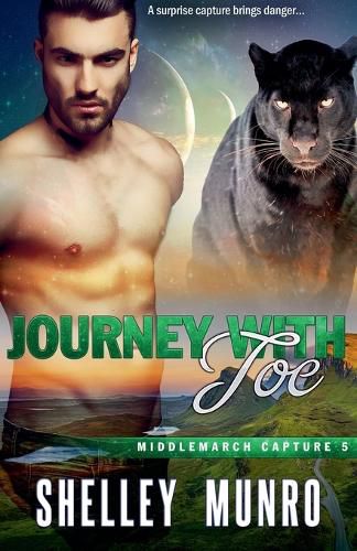 Cover image for Journey With Joe