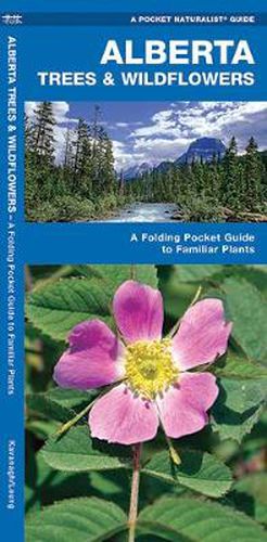 Cover image for Alberta Trees & Wildflowers: A Folding Pocket Guide to Familiar Species