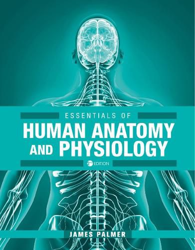 Cover image for Essentials of Human Anatomy and Physiology