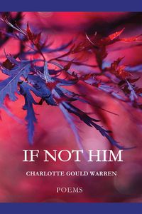 Cover image for If Not Him