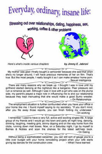 Cover image for Everyday, Ordinary, Insane Life: Stressing Out Over Relationships, Dating, Happiness, Sex, Working, Coffee & Other Problems