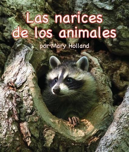 Cover image for Las Narices de Los Animales (Animal Noses)