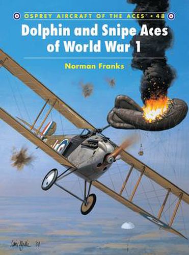 Cover image for Dolphin and Snipe Aces of World War 1