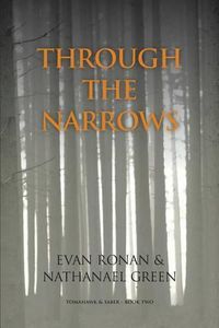 Cover image for Through the Narrows