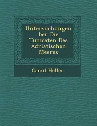 Cover image for Untersuchungen Ber Die Tunicaten Des Adriatischen Meeres