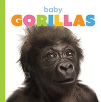 Cover image for Baby Gorillas