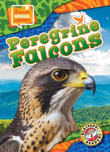 Cover image for Peregrine Falcons
