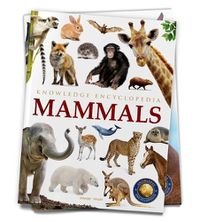 Cover image for Animals