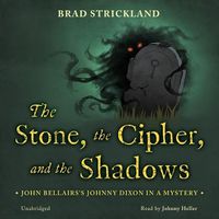 Cover image for The Stone, the Cipher, and the Shadows