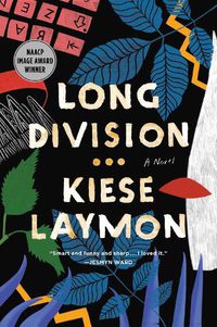 Cover image for Long Division: A Novel