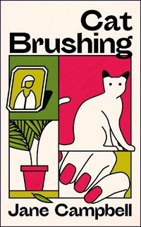 Cover image for Cat Brushing: a dazzling short story collection about thirteen older women