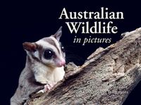 Cover image for Australian Wildlife in Pictures: Celebrating the unique nature of the island continent, from kangaroos to sea dragons