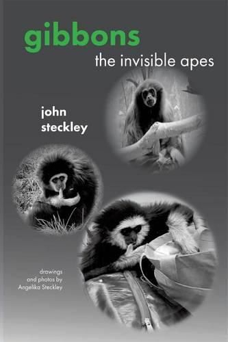 Gibbons: The Invisible Apes