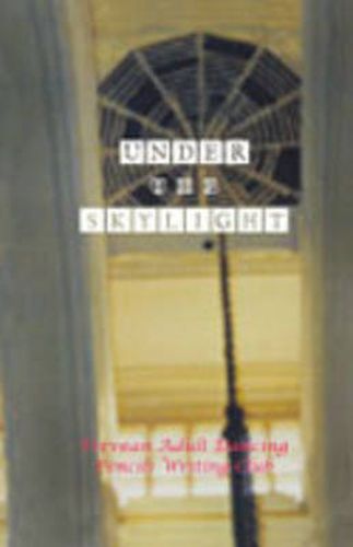 Cover image for Under the Skylight